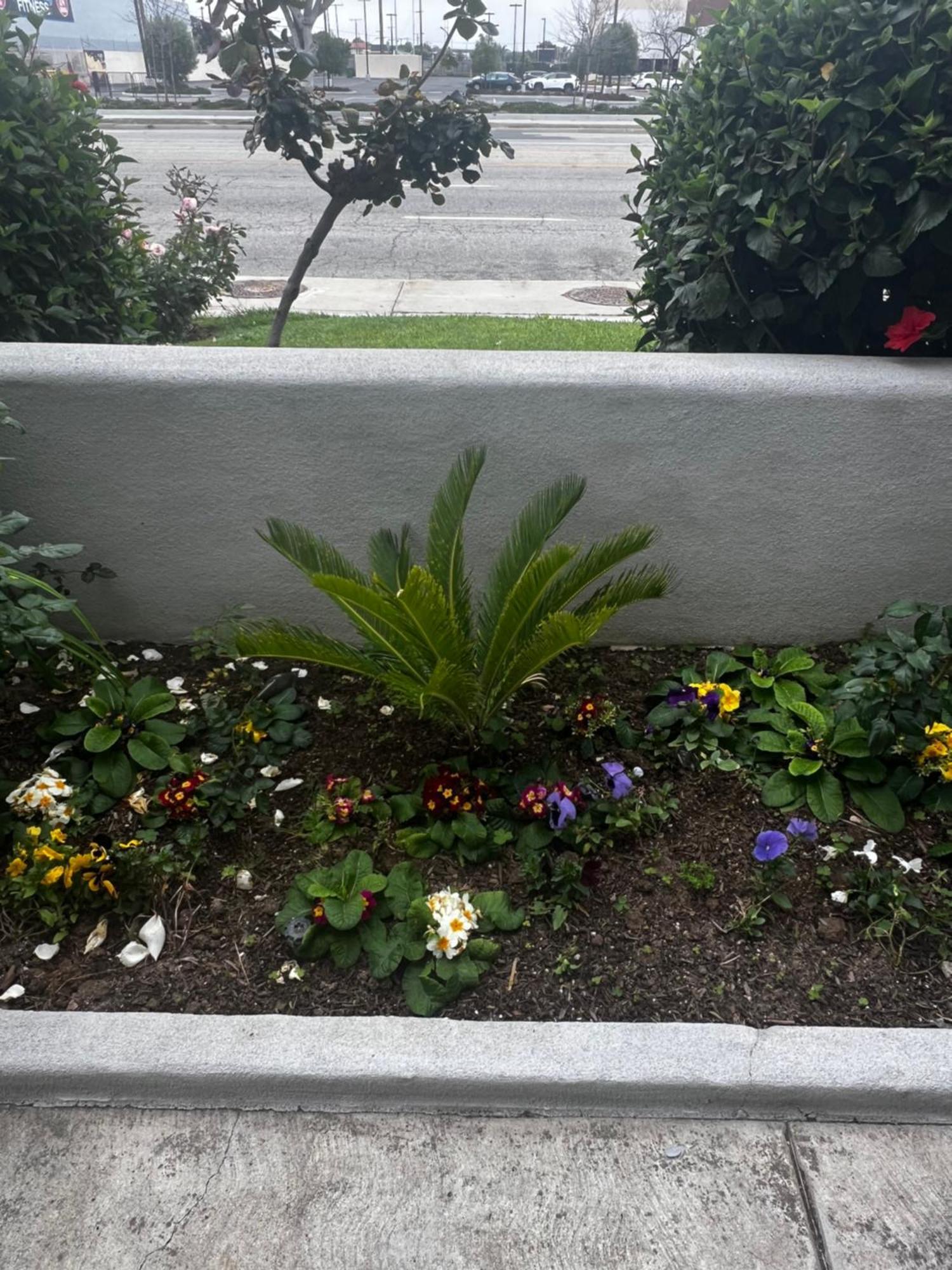 El Segundo Inn Hawthorne Exterior photo